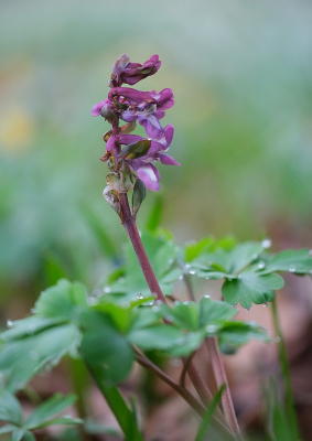 <i class='fa fa-user'></i>&nbsp;Tim Oord&nbsp;|  Holwortel&nbsp; <i class='fa fa-eye'>&nbsp;3</i> &nbsp; <i class='fa fa-comment-o'>&nbsp;0</i>