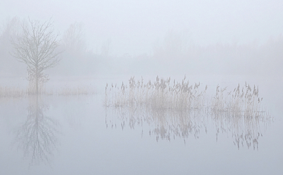 <i class='fa fa-user'></i>&nbsp;nelappelmelk&nbsp;|  Mist&nbsp; <i class='fa fa-eye'>&nbsp;8</i> &nbsp; <i class='fa fa-comment-o'>&nbsp;0</i>