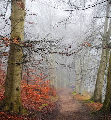 <i class='fa fa-user'></i>&nbsp;hesterb&nbsp;|  Bospad in maart&nbsp; <i class='fa fa-eye'>&nbsp;47</i> &nbsp; <i class='fa fa-comment-o'>&nbsp;0</i>