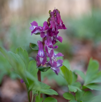 <i class='fa fa-user'></i>&nbsp;Tim Oord&nbsp;|  Holwortel&nbsp; <i class='fa fa-eye'>&nbsp;2</i> &nbsp; <i class='fa fa-comment-o'>&nbsp;0</i>