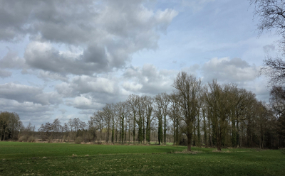 <i class='fa fa-user'></i>&nbsp;guidomwm&nbsp;| Landschap met bos en wei&nbsp; <i class='fa fa-eye'>&nbsp;10</i> &nbsp; <i class='fa fa-comment-o'>&nbsp;0</i>