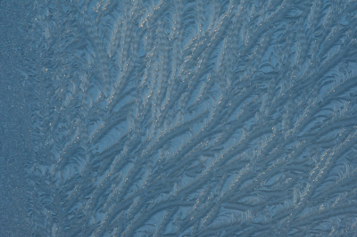 <i class='fa fa-user'></i>&nbsp;Truus Aletta Maan&nbsp;|  IJsbloemen&nbsp; <i class='fa fa-eye'>&nbsp;17</i> &nbsp; <i class='fa fa-comment-o'>&nbsp;1</i>