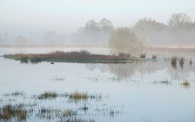 Nature picture: 1. Morgensfeer