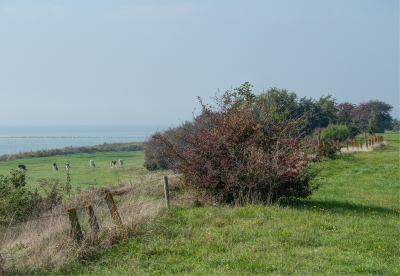 <i class='fa fa-user'></i>&nbsp;Tim Oord&nbsp;|  Stuwwallenlandschap&nbsp; <i class='fa fa-eye'>&nbsp;13</i> &nbsp; <i class='fa fa-comment-o'>&nbsp;0</i>