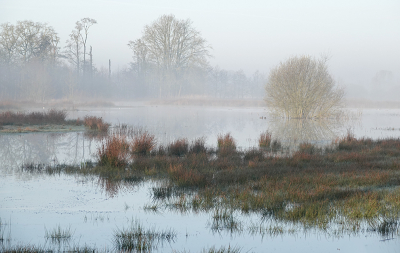 <i class='fa fa-user'></i>&nbsp;nelappelmelk&nbsp;|  Prachtige morgen&nbsp; <i class='fa fa-eye'>&nbsp;13</i> &nbsp; <i class='fa fa-comment-o'>&nbsp;3</i>