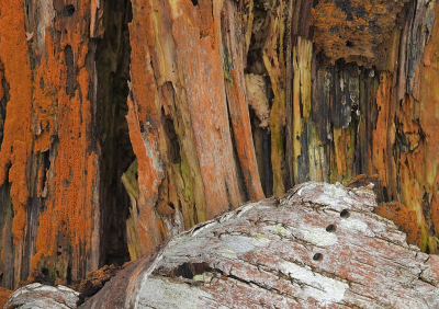 <i class='fa fa-user'></i>&nbsp;sieb&nbsp;|  Vergankelijkheid&nbsp; <i class='fa fa-eye'>&nbsp;6</i> &nbsp; <i class='fa fa-comment-o'>&nbsp;0</i>