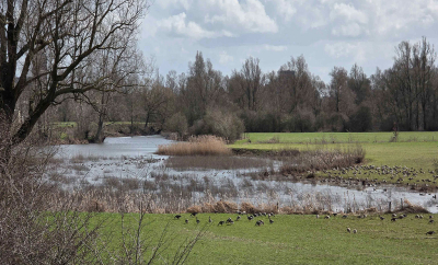 <i class='fa fa-user'></i>&nbsp;guidomwm&nbsp;|  Landschap bij Doesburg&nbsp; <i class='fa fa-eye'>&nbsp;19</i> &nbsp; <i class='fa fa-comment-o'>&nbsp;2</i>