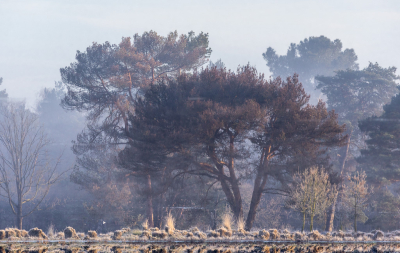 <i class='fa fa-user'></i>&nbsp;Pieter  LJ&nbsp;|  Spiegelbeeld&nbsp; <i class='fa fa-eye'>&nbsp;34</i> &nbsp; <i class='fa fa-comment-o'>&nbsp;1</i>