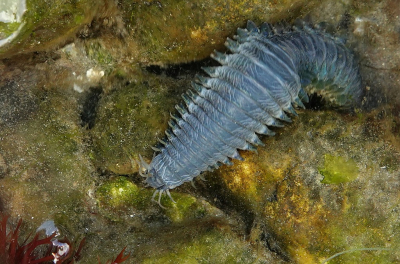 <i class='fa fa-user'></i>&nbsp;Nel R&nbsp;|  Zager&nbsp; <i class='fa fa-eye'>&nbsp;6</i> &nbsp; <i class='fa fa-comment-o'>&nbsp;0</i>