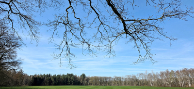 <i class='fa fa-user'></i>&nbsp;guidomwm&nbsp;|  Landschap met veel berken&nbsp; <i class='fa fa-eye'>&nbsp;23</i> &nbsp; <i class='fa fa-comment-o'>&nbsp;0</i>