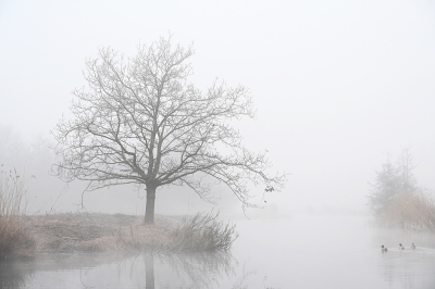 <i class='fa fa-user'></i>&nbsp;Eric Gibcus&nbsp;|  Boom&nbsp; <i class='fa fa-eye'>&nbsp;37</i> &nbsp;<i class='fa fa-thumbs-up'>&nbsp;7</i> &nbsp; <i class='fa fa-comment-o'>&nbsp;3</i>