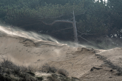 <i class='fa fa-user'></i>&nbsp;Eef Kieft&nbsp;|  Lekker windje&nbsp; <i class='fa fa-eye'>&nbsp;34</i> &nbsp; <i class='fa fa-comment-o'>&nbsp;0</i>