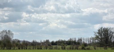 <i class='fa fa-user'></i>&nbsp;guidomwm&nbsp;|  Landschap met bomen en struiken&nbsp; <i class='fa fa-eye'>&nbsp;16</i> &nbsp; <i class='fa fa-comment-o'>&nbsp;0</i>