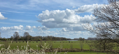 <i class='fa fa-user'></i>&nbsp;guidomwm&nbsp;|  Landschap grens Dieren&nbsp; <i class='fa fa-eye'>&nbsp;14</i> &nbsp; <i class='fa fa-comment-o'>&nbsp;0</i>