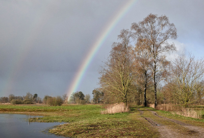 <i class='fa fa-user'></i>&nbsp;nelappelmelk&nbsp;|  Regenboog&nbsp; <i class='fa fa-eye'>&nbsp;11</i> &nbsp; <i class='fa fa-comment-o'>&nbsp;0</i>