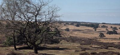 <i class='fa fa-user'></i>&nbsp;guidomwm&nbsp;|  Landschap bij Posbank&nbsp; <i class='fa fa-eye'>&nbsp;30</i> &nbsp; <i class='fa fa-comment-o'>&nbsp;0</i>