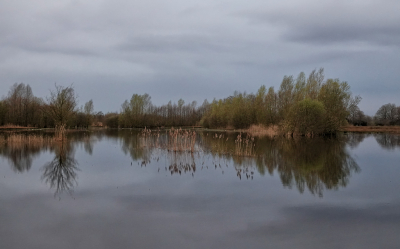 <i class='fa fa-user'></i>&nbsp;nelappelmelk&nbsp;|  Rust en stilte&nbsp; <i class='fa fa-eye'>&nbsp;14</i> &nbsp; <i class='fa fa-comment-o'>&nbsp;1</i>