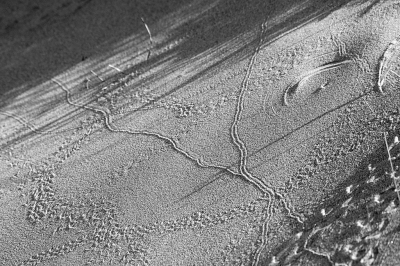 <i class='fa fa-user'></i>&nbsp;Eef Kieft&nbsp;| Sporen in het zand&nbsp; <i class='fa fa-eye'>&nbsp;7</i> &nbsp; <i class='fa fa-comment-o'>&nbsp;0</i>