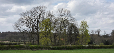 <i class='fa fa-user'></i>&nbsp;guidomwm&nbsp;|  Landgoed Hof te Dieren&nbsp; <i class='fa fa-eye'>&nbsp;23</i> &nbsp; <i class='fa fa-comment-o'>&nbsp;0</i>