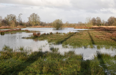 <i class='fa fa-user'></i>&nbsp;nelappelmelk&nbsp;|  Waterpeil zakt&nbsp; <i class='fa fa-eye'>&nbsp;18</i> &nbsp; <i class='fa fa-comment-o'>&nbsp;0</i>