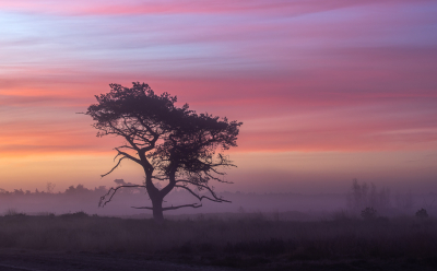 <i class='fa fa-user'></i>&nbsp;Pieter  LJ&nbsp;|  Zonsopkomst&nbsp; <i class='fa fa-eye'>&nbsp;28</i> &nbsp; <i class='fa fa-comment-o'>&nbsp;2</i>