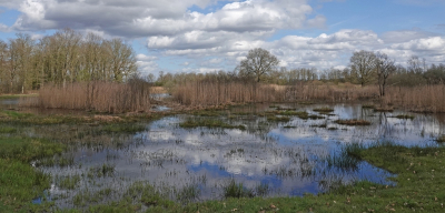 <i class='fa fa-user'></i>&nbsp;Tineke Strijbosch&nbsp;|  Lenteachtig landschap&nbsp; <i class='fa fa-eye'>&nbsp;7</i> &nbsp; <i class='fa fa-comment-o'>&nbsp;0</i>