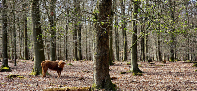 Kort nadat ik deze opname maakte ergens na de Carolinahove ging ik onderuit met de fiets en kon na spoedbehandeling door een artsen echtpaar die achter ons fietsten
rechtstreeks naar het ziekenhuis waaruit ik gisteren naar huis kon. Voorlopig verwacht ik geen foto's te maken..