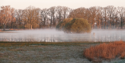 <i class='fa fa-user'></i>&nbsp;nelappelmelk&nbsp;|  Mistbank&nbsp; <i class='fa fa-eye'>&nbsp;9</i> &nbsp; <i class='fa fa-comment-o'>&nbsp;0</i>