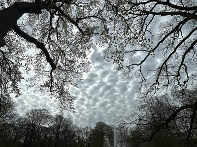 <i class='fa fa-user'></i>&nbsp;B.M.Schouten-Ruis&nbsp;|  Keukenhof&nbsp; <i class='fa fa-eye'>&nbsp;4</i> &nbsp; <i class='fa fa-comment-o'>&nbsp;1</i>