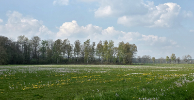 <i class='fa fa-user'></i>&nbsp;guidomwm&nbsp;|  Landschap Broekdijk richting Leuvenheim&nbsp; <i class='fa fa-eye'>&nbsp;5</i> &nbsp; <i class='fa fa-comment-o'>&nbsp;1</i>