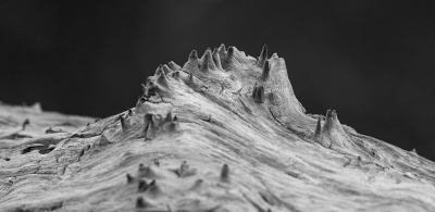 <i class='fa fa-user'></i>&nbsp;Eef Kieft&nbsp;|  Vulkanisch landschap&nbsp; <i class='fa fa-eye'>&nbsp;34</i> &nbsp; <i class='fa fa-comment-o'>&nbsp;2</i>