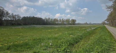 <i class='fa fa-user'></i>&nbsp;guidomwm&nbsp;|  Landschap Broekdijk vanaf Leuvenheim naar Laag Soeren&nbsp; <i class='fa fa-eye'>&nbsp;14</i> &nbsp; <i class='fa fa-comment-o'>&nbsp;0</i>