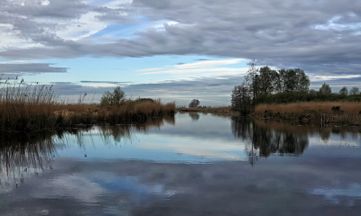 <i class='fa fa-user'></i>&nbsp;nelappelmelk&nbsp;|  Rust en stilte&nbsp; <i class='fa fa-eye'>&nbsp;11</i> &nbsp; <i class='fa fa-comment-o'>&nbsp;1</i>