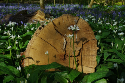 <i class='fa fa-user'></i>&nbsp;hesterb&nbsp;|  Daslook&nbsp; <i class='fa fa-eye'>&nbsp;10</i> &nbsp; <i class='fa fa-comment-o'>&nbsp;1</i>