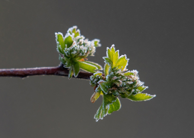 <i class='fa fa-user'></i>&nbsp;Eef Kieft&nbsp;|  Frisse ochtend&nbsp; <i class='fa fa-eye'>&nbsp;6</i> &nbsp; <i class='fa fa-comment-o'>&nbsp;0</i>