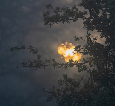 <i class='fa fa-user'></i>&nbsp;Eef Kieft&nbsp;|  Ochtendsfeer&nbsp; <i class='fa fa-eye'>&nbsp;7</i> &nbsp; <i class='fa fa-comment-o'>&nbsp;0</i>