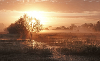 <i class='fa fa-user'></i>&nbsp;nelappelmelk&nbsp;|  Ochtendrood&nbsp; <i class='fa fa-eye'>&nbsp;25</i> &nbsp;<i class='fa fa-thumbs-up'>&nbsp;2</i> &nbsp; <i class='fa fa-comment-o'>&nbsp;2</i>