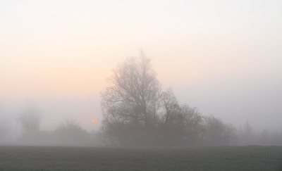 <i class='fa fa-user'></i>&nbsp;Eric Gibcus&nbsp;|  Landschap&nbsp; <i class='fa fa-eye'>&nbsp;16</i> &nbsp; <i class='fa fa-comment-o'>&nbsp;0</i>