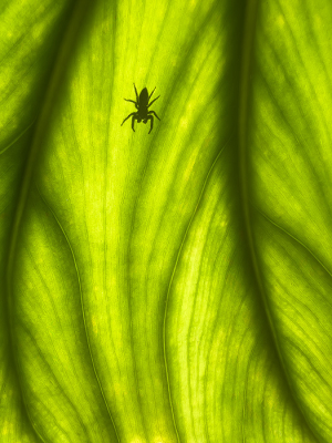 <i class='fa fa-user'></i>&nbsp;daan de vos&nbsp;|  Springspin sp&nbsp; <i class='fa fa-eye'>&nbsp;13</i> &nbsp; <i class='fa fa-comment-o'>&nbsp;0</i>