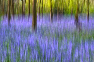 <i class='fa fa-user'></i>&nbsp;hesterb&nbsp;|  Blauw en groen&nbsp; <i class='fa fa-eye'>&nbsp;11</i> &nbsp; <i class='fa fa-comment-o'>&nbsp;0</i>