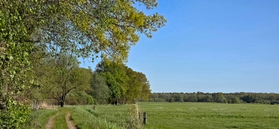 <i class='fa fa-user'></i>&nbsp;guidomwm&nbsp;|  Landschap met boerenpad&nbsp; <i class='fa fa-eye'>&nbsp;25</i> &nbsp; <i class='fa fa-comment-o'>&nbsp;2</i>