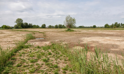 <i class='fa fa-user'></i>&nbsp;nelappelmelk&nbsp;|  Kaal landschap&nbsp; <i class='fa fa-eye'>&nbsp;35</i> &nbsp; <i class='fa fa-comment-o'>&nbsp;3</i>