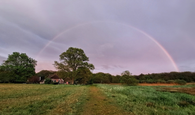 <i class='fa fa-user'></i>&nbsp;nelappelmelk&nbsp;|  De regenboog&nbsp; <i class='fa fa-eye'>&nbsp;25</i> &nbsp; <i class='fa fa-comment-o'>&nbsp;2</i>