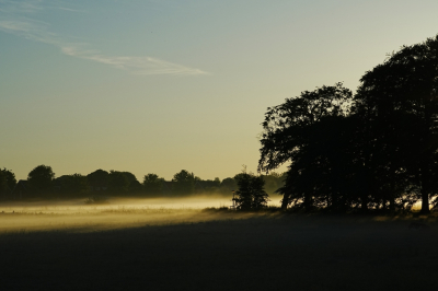 <i class='fa fa-user'></i>&nbsp;hesterb&nbsp;|  Nevel in de zon&nbsp; <i class='fa fa-eye'>&nbsp;14</i> &nbsp; <i class='fa fa-comment-o'>&nbsp;3</i>