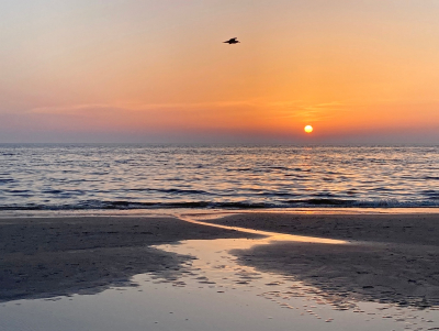 <i class='fa fa-user'></i>&nbsp;Tineke Strijbosch&nbsp;|  Zonsondergang&nbsp; <i class='fa fa-eye'>&nbsp;10</i> &nbsp;<i class='fa fa-thumbs-up'>&nbsp;3</i> &nbsp; <i class='fa fa-comment-o'>&nbsp;2</i>