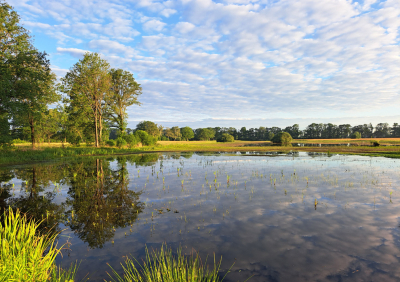 <i class='fa fa-user'></i>&nbsp;nelappelmelk&nbsp;|  Weerspiegeling wolken&nbsp; <i class='fa fa-eye'>&nbsp;8</i> &nbsp; <i class='fa fa-comment-o'>&nbsp;2</i>