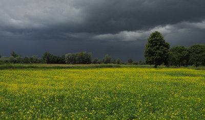 Nature picture: 1. Donkere wolken