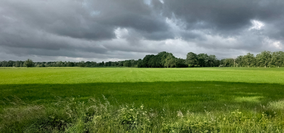 <i class='fa fa-user'></i>&nbsp;guidomwm&nbsp;|  Landschap met dreigende wolken&nbsp; <i class='fa fa-eye'>&nbsp;11</i> &nbsp; <i class='fa fa-comment-o'>&nbsp;1</i>