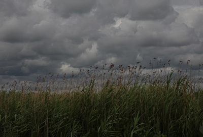 <i class='fa fa-user'></i>&nbsp;Tineke Strijbosch&nbsp;|  Wolken en Riet&nbsp; <i class='fa fa-eye'>&nbsp;27</i> &nbsp; <i class='fa fa-comment-o'>&nbsp;1</i>