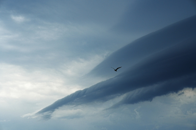 Nature picture: 1. Shelf Cloud